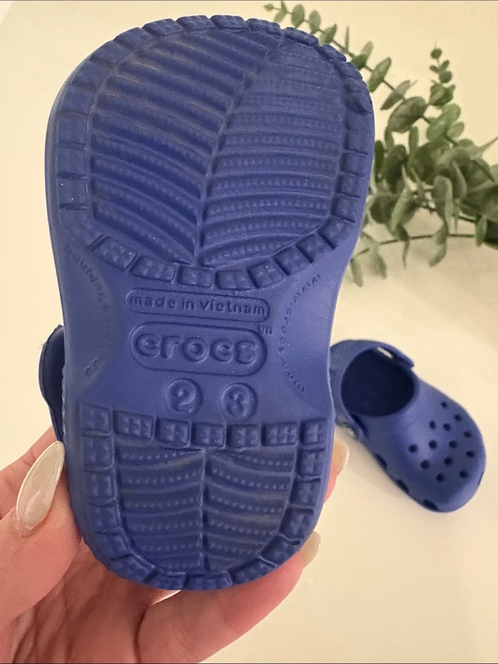 Toddler Crocs Size 2-3